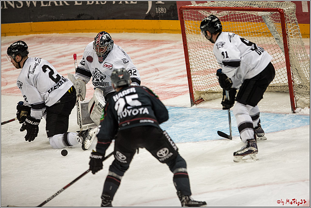 DEL, Koelner Haie - Nuernberg Ice Tiger, 24.01.2017